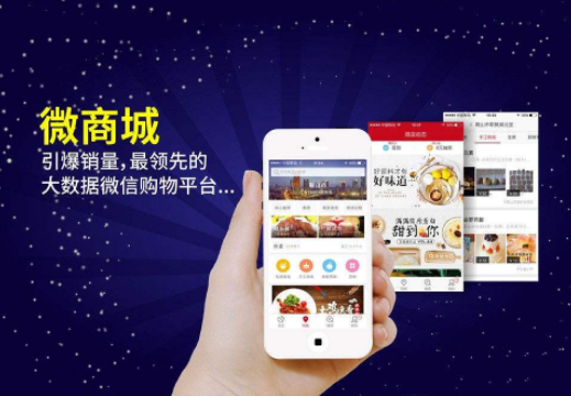 <b>【小程序开发公司】微分销玩法(下)之积分使用玩法</b>