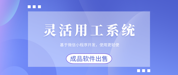 <b>灵活用工管理系统开发：打造智能化、高效化的用工新模式</b>